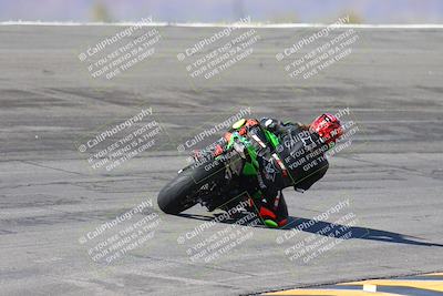 media/Feb-04-2024-SoCal Trackdays (Sun) [[91d6515b1d]]/4-Bowl Backside (11am)/